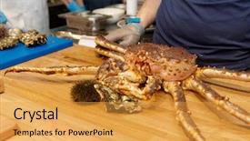  Presentation with live amd - Colorful PPT layouts enhanced with food chain - chef is demonstrating a live backdrop and a yellow colored foreground