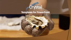  Presentation with oyster mushroom on substrate - Colorful slide deck enhanced with food chain - chef is shoving open oyster backdrop and a coral colored foreground