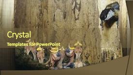  Presentation with chicks - PPT theme consisting of food chain - great tit feeding her chicks background and a tawny brown colored foreground