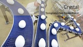  Presentation with production line - PPT theme featuring food chain - specialist at egg production line background and a mint green colored foreground