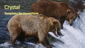  Presentation with waterfall - Cool new PPT theme with food chain - usa alaska katmai national park backdrop and a tawny brown colored foreground