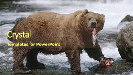  Presentation with salmon - Presentation theme with rock sculpture in a alps background and a tawny brown colored foreground