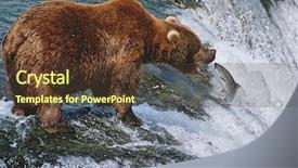  Presentation with brown bear - Slide deck featuring food chain - usa alaska katmai national park background and a tawny brown colored foreground