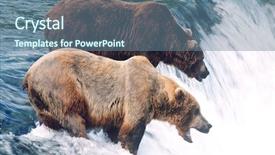  Presentation with national - Cool new slide set with food chain - usa alaska katmai national park backdrop and a seafoam green colored foreground