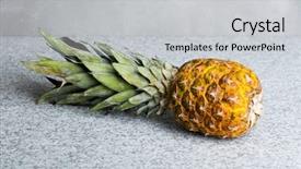  Presentation with climate - Colorful presentation theme enhanced with food climate seasons - fresh juicy pineapple backdrop and a  colored foreground