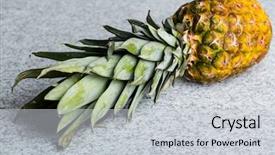  Presentation with fresh coconut juice decorated tropical - Slide deck consisting of food climate seasons - fresh juicy pineapple background and a  colored foreground