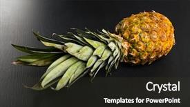  Presentation with climate - Audience pleasing slides consisting of food climate seasons - fresh juicy pineapple backdrop and a  colored foreground