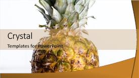  Presentation with mango juice fresh tropical fruit - Amazing theme having food climate seasons - fresh juicy pineapple backdrop and a  colored foreground