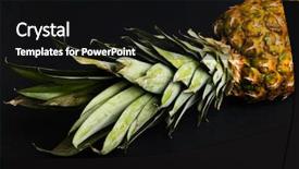  Presentation with fresh coconut juice decorated tropical - Beautiful presentation design featuring food climate seasons - fresh juicy pineapple backdrop and a  colored foreground