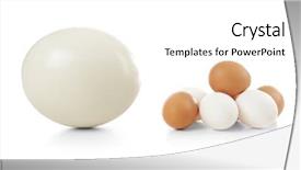  Presentation with comparison - PPT layouts enhanced with food comparison - ostrich and chicken eggs background and a white colored foreground
