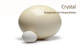  Presentation with comparison - Amazing theme having food comparison - ostrich egg and chicken egg backdrop and a cream colored foreground