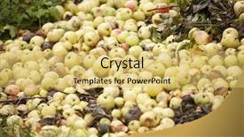  Presentation with compost - PPT theme with compost pile of rotten fruit background and a yellow colored foreground