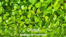  Presentation with eco friendly environment - Cool new slides with world environment day concept fertilizer backdrop and a tawny brown colored foreground