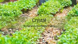  Presentation with agriculture fertilizer - PPT layouts having world environment day concept fertilizer background and a yellow colored foreground