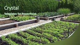  Presentation with vegetable garden - Slides enhanced with soil fertilizer lettuces - neatly organized raised vegetable garden background and a tawny brown colored foreground