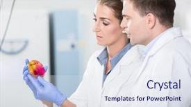  Presentation with petri dish - PPT layouts with food contamination - scientists in laboratory regarding sample background and a sky blue colored foreground