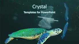  Presentation with ocean pollution - Presentation theme having food contamination - turtle and plastic ocean pollution background and a tawny brown colored foreground