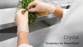  Presentation with cooking chef - Slide deck with food-cooking-profession-and-people background and a light gray colored foreground