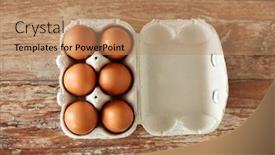  Presentation with food chicken - PPT theme enhanced with food-culinary-and-cooking-concept background and a coral colored foreground