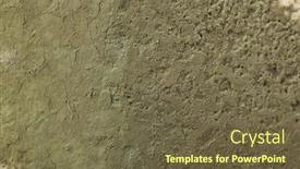  Presentation with mold - Colorful PPT layouts enhanced with food-damaged-by-mold-extreme backdrop and a tawny brown colored foreground