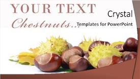  Presentation with fall leaves border white - Colorful slides enhanced with food design - chestnuts on autumn leaves isolated backdrop and a  colored foreground