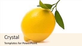  Presentation with lemon - Beautiful presentation theme featuring food design - lemon with fresh leaves macro backdrop and a yellow colored foreground