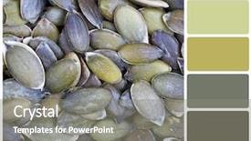  Presentation with seed - Cool new theme with food design - pumpkin seed background colour palette backdrop and a gray colored foreground