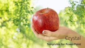  Presentation with food red - Amazing PPT theme having food-diet-and-people-concept backdrop and a yellow colored foreground