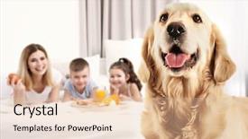  Presentation with dog - Slide deck having food dogs - dog and happy family background and a lemonade colored foreground