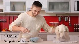  Presentation with parasitology helminths toxocara canis dog - PPT layouts featuring food dogs - man and dog enjoying breakfast background and a coral colored foreground