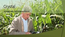  Presentation with agronomist - Amazing PPT layouts having food engineering - agronomist in corn field backdrop and a mint green colored foreground