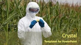  Presentation with food biotechnology - Slide deck with food engineering - biotechnology engineer examining corn cob background and a tawny brown colored foreground