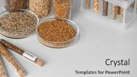  Presentation with food laboratory - PPT theme featuring food engineering - cereals in laboratory glassware background and a light gray colored foreground