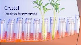  Presentation with lab - PPT layouts having arara - blue-and-gold macaw in natural setting background and a gray colored foreground.