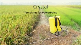  Presentation with rice field - PPT theme consisting of food enginerring - chemical to sprayer tank spray background and a yellow colored foreground