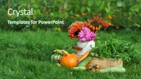  Presentation with food exhibition - Cool new theme with food exhibition - autumn arrangement backdrop and a tawny brown colored foreground