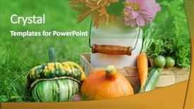  Presentation with food exhibition - Amazing PPT theme having food exhibition - autumn arrangement backdrop and a tawny brown colored foreground