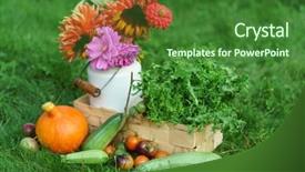  Presentation with food exhibition - Audience pleasing theme consisting of food exhibition - autumn arrangement backdrop and a forest green colored foreground