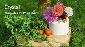  Presentation with food exhibition - Slide deck with food exhibition - autumn arrangement background and a tawny brown colored foreground