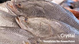  Presentation with food exhibition - Cool new presentation design with food exhibition - barramundi backdrop and a  colored foreground
