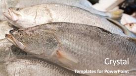  Presentation with food exhibition - Colorful PPT layouts enhanced with food exhibition - barramundi backdrop and a  colored foreground