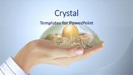  Presentation with food exhibition - Slide deck featuring food exhibition - empty shelf for exhibit background and a sky blue colored foreground