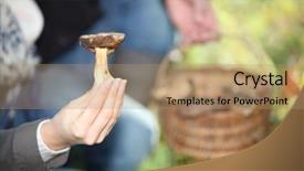  Presentation with mushrooms - PPT theme enhanced with food exhibition - hand holding mushrooms background and a coral colored foreground
