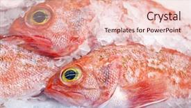  Presentation with food exhibition - Theme enhanced with food exhibition - ocean perch background and a lemonade colored foreground