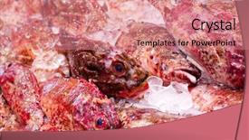  Presentation with rock - Amazing theme having food exhibition - red rock cod backdrop and a  colored foreground