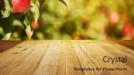  Presentation with food exhibition - Cool new PPT layouts with food exhibition - table space and apple garden backdrop and a yellow colored foreground