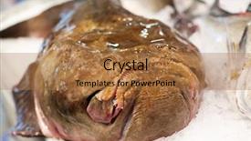  Presentation with food exhibition - Theme with food exhibition - triplewart seadevil background and a  colored foreground