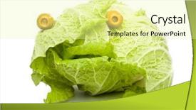  Presentation with celery - PPT theme enhanced with food face - fresh celery cabbage background and a  colored foreground