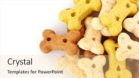  Presentation with dog food - Cool new PPT theme with food for dogs in bone backdrop and a blonde colored foreground
