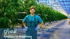  Presentation with greenhouse - Theme with growers - friendly farmer at work background and a ocean colored foreground
